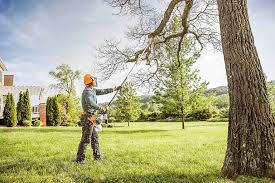 Best Hedge Trimming  in Garden Acres, CA